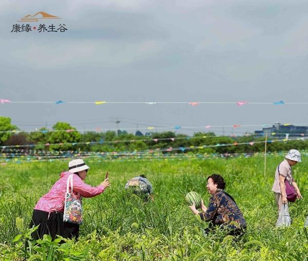 康缘养生谷_镇江五星级老年护理院,镇江敬老院在什么地方