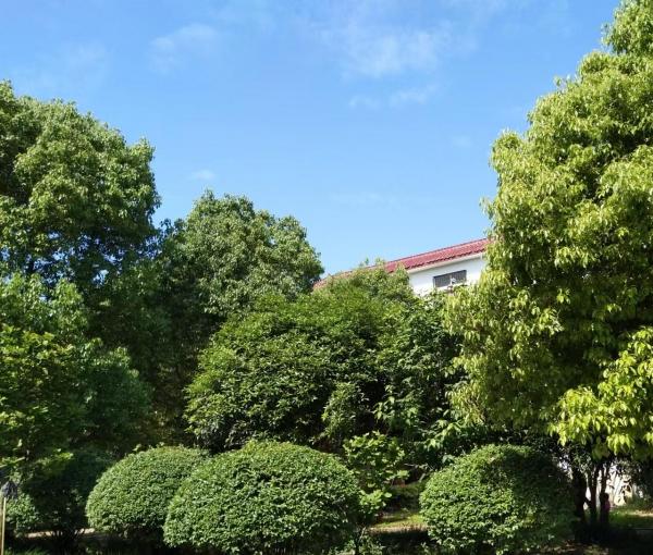南阳金鹏养老中心_南阳一般养老院,南阳一般养老院有哪些