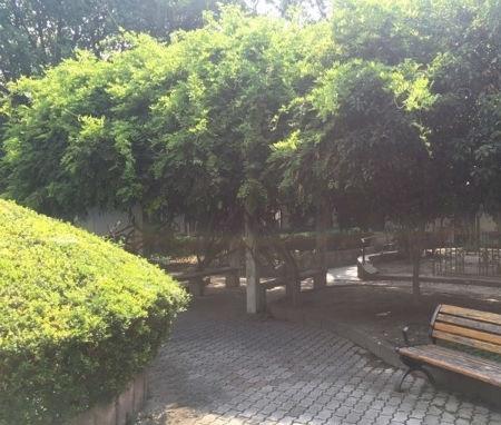 上海静安区一家人家敬老院环境图片