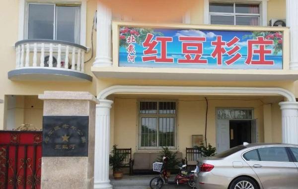 北戴河红豆杉癌症康养乐园_秦皇岛8000元老年护理院,秦皇岛老年病医院养老院