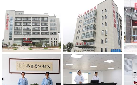 桐城市仁爱医养院_安庆性价比高的养老院,安庆养老院康复机构