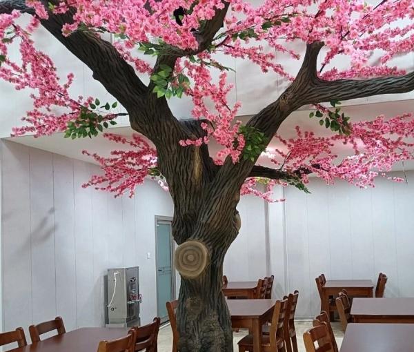 嘉祥县善缘康养产业发展服务中心_济宁医养结合养老院,济宁医养结合养老院怎么样