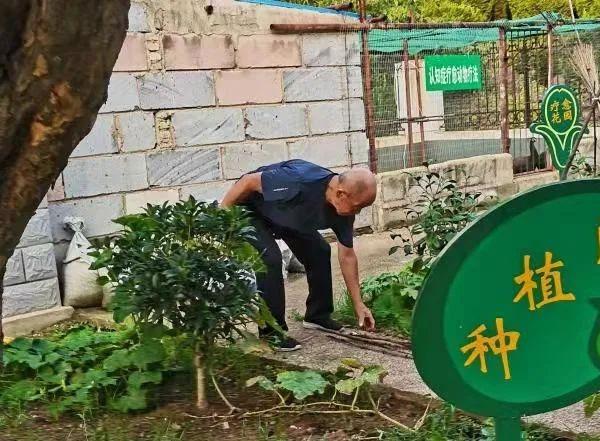 海阳市鹤童村老年护理中心环境图片